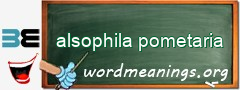 WordMeaning blackboard for alsophila pometaria